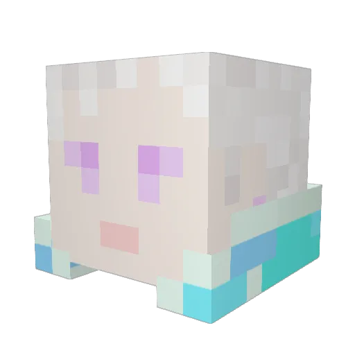 Tokawakun Minecraft avatar head, 3D render