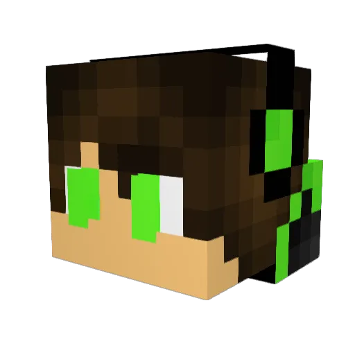 TokayGecko8 Minecraft avatar head, 3D render