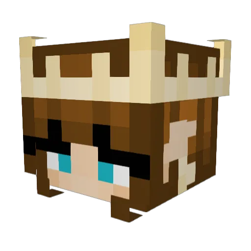 Tokazi Minecraft avatar head, 3D render