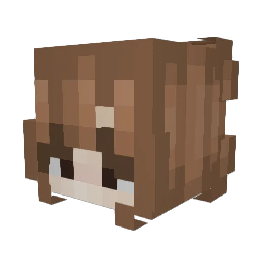 Token3799 Minecraft avatar head, 3D render