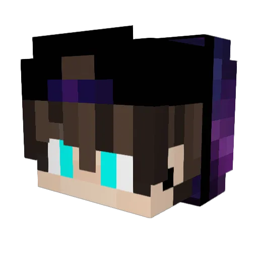 TokenLee Minecraft avatar head, 3D render