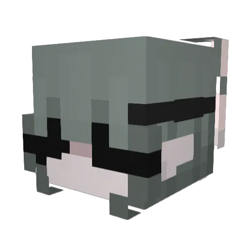 TokenMainz Minecraft avatar head, 3D render