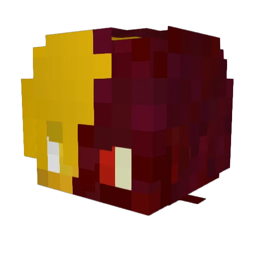 Tokenx2 Minecraft avatar head, 3D render