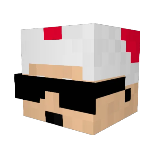 Toker44 Minecraft avatar head, 3D render