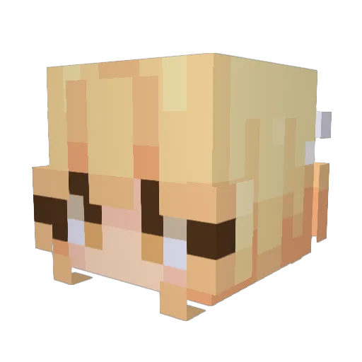 Tokeri Minecraft avatar head, 3D render
