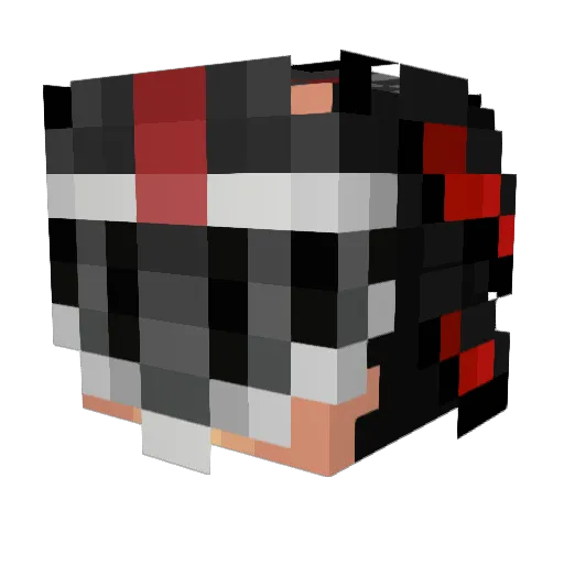 Toki2406 Minecraft avatar head, 3D render