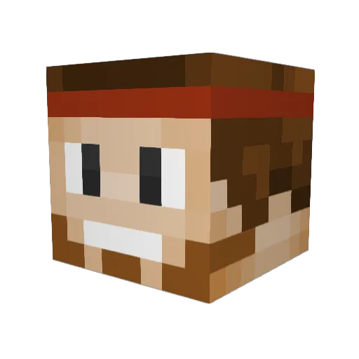 Toki_Blocker Minecraft avatar head, 3D render