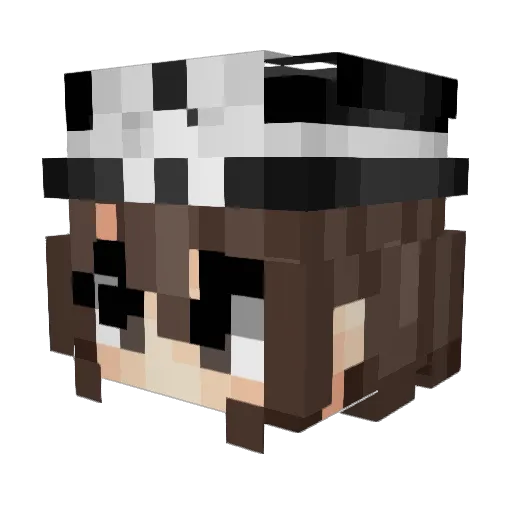 Tokid0 Minecraft avatar head, 3D render