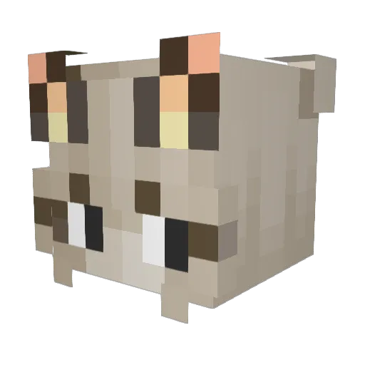Tokiita Minecraft avatar head, 3D render