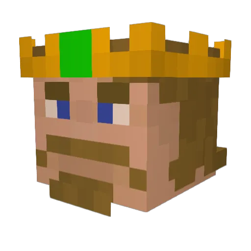 Tokiostein2 Minecraft avatar head, 3D render