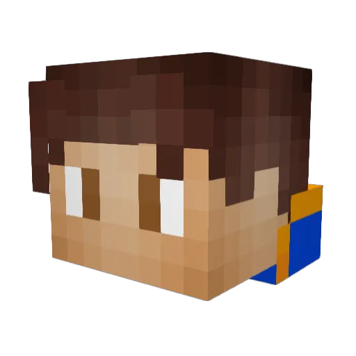 Tokis05009 Minecraft avatar head, 3D render