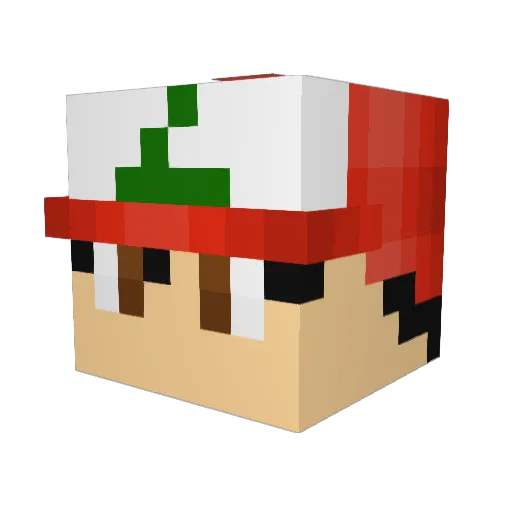 Tokke4 Minecraft avatar head, 3D render