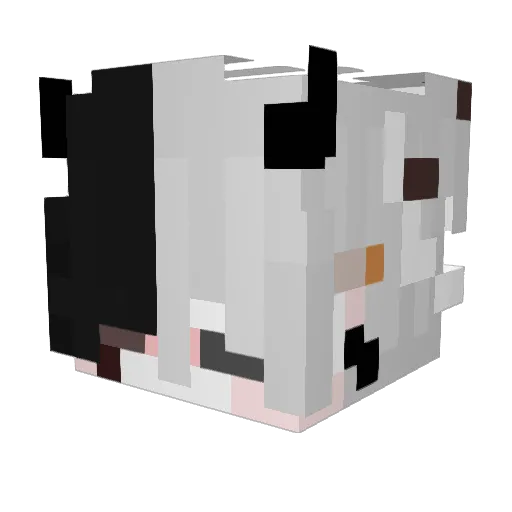 Tokki0 Minecraft avatar head, 3D render