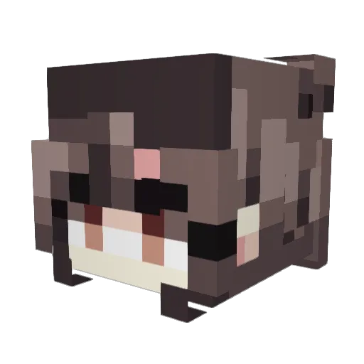 Tokkino Minecraft avatar head, 3D render