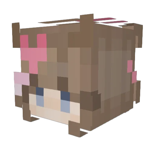 Tokkisoup Minecraft avatar head, 3D render