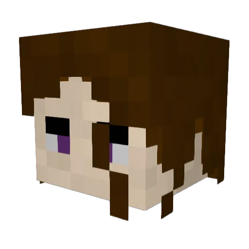 Tokkyuu Minecraft avatar head, 3D render