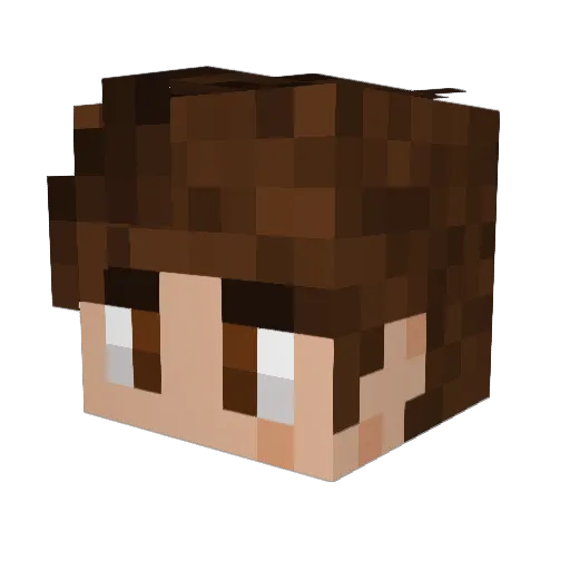 Tokopisco Minecraft avatar head, 3D render
