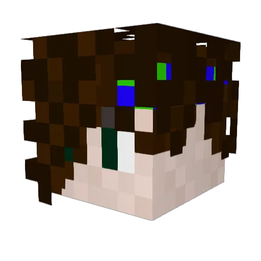 Toku_Riveborn Minecraft avatar head, 3D render
