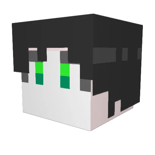 Tokuta Minecraft avatar head, 3D render