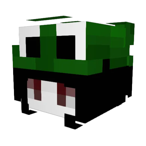 Tokynn Minecraft avatar head, 3D render