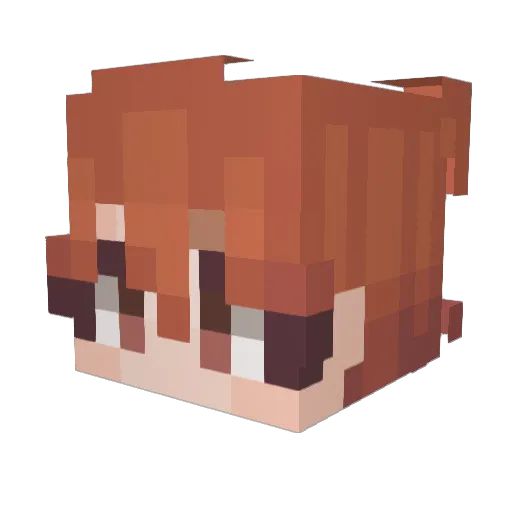TokyoFnk Minecraft avatar head, 3D render