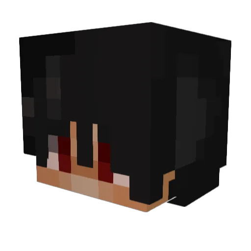 TokyoInsanity Minecraft avatar head, 3D render