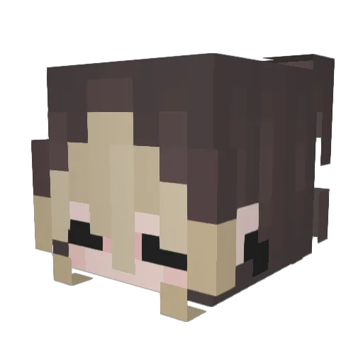 TokyoPuff Minecraft avatar head, 3D render