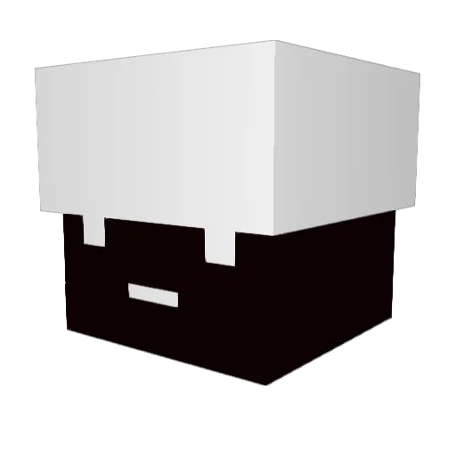 TokyoRice Minecraft avatar head, 3D render