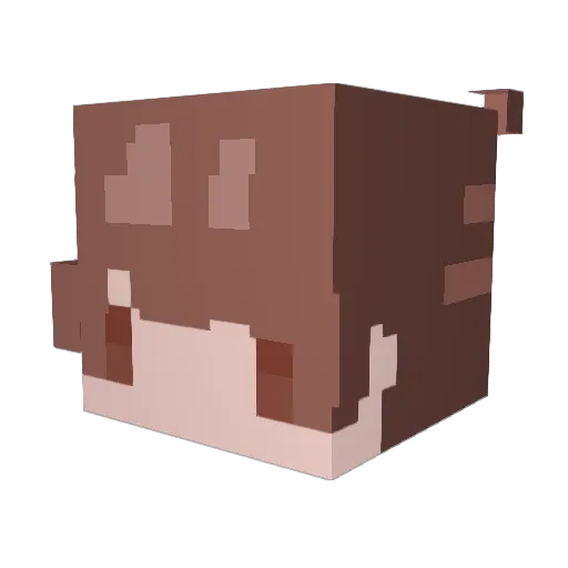 TokyoSmoke Minecraft avatar head, 3D render