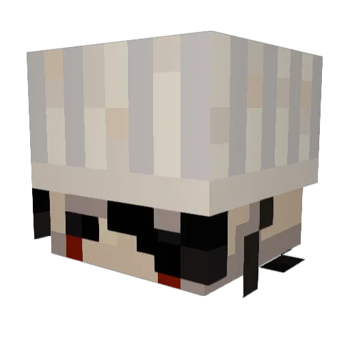Tokyo_Booty Minecraft avatar head, 3D render