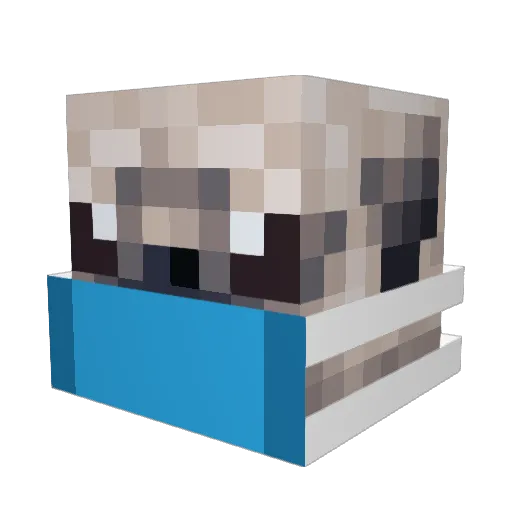 Tokyo_Canada Minecraft avatar head, 3D render
