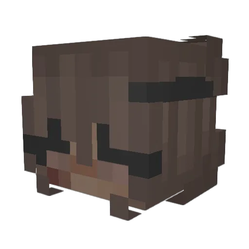 Tokyo_oo Minecraft avatar head, 3D render