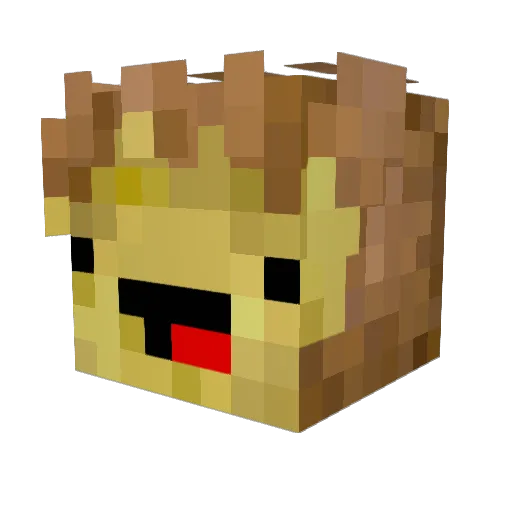 Tokyoc Minecraft avatar head, 3D render