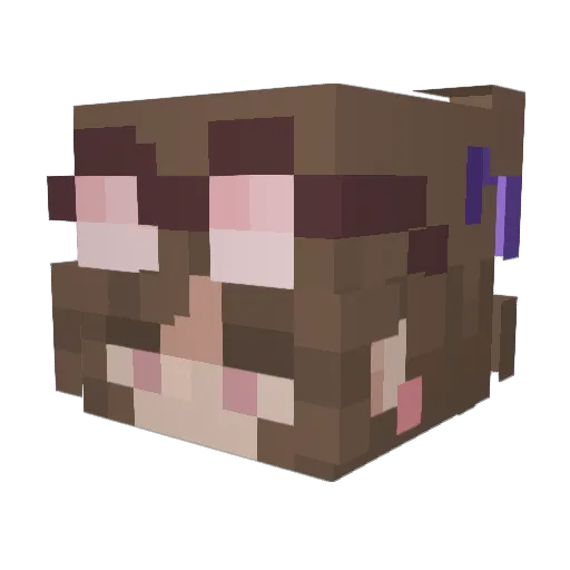 Tokyoet2 Minecraft avatar head, 3D render