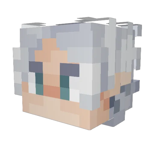 Tokyt00 Minecraft avatar head, 3D render