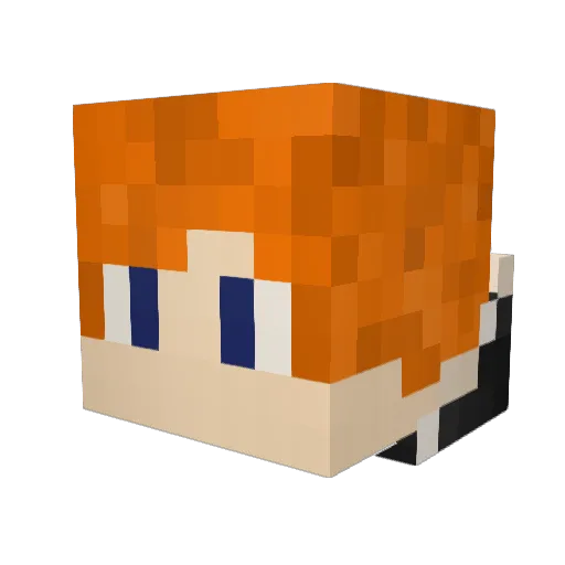 Tolbensan Minecraft avatar head, 3D render