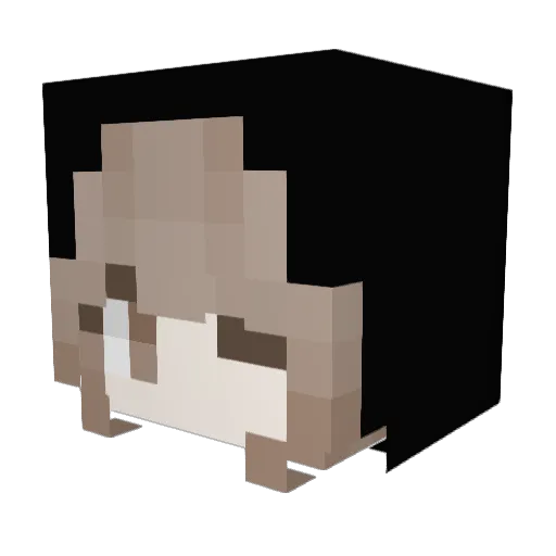 Told Minecraft avatar head, 3D render
