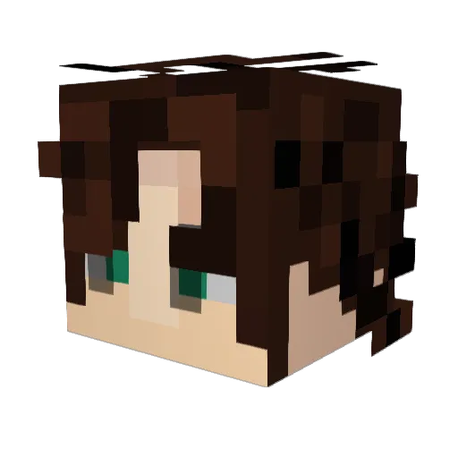 Toldrick Minecraft avatar head, 3D render
