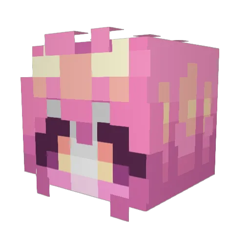 Toledowo Minecraft avatar head, 3D render