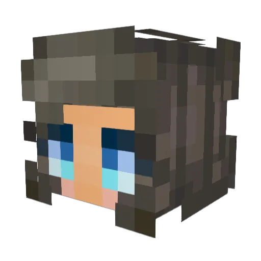 Tolej Minecraft avatar head, 3D render