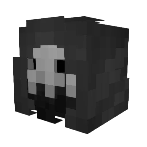Tolik1345 Minecraft avatar head, 3D render