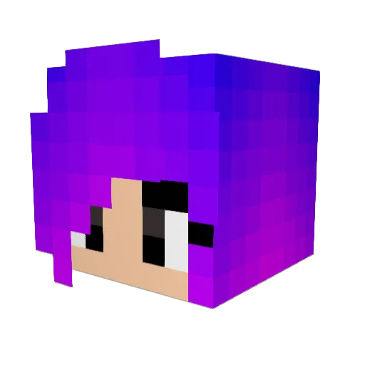 Tolious Minecraft avatar head, 3D render