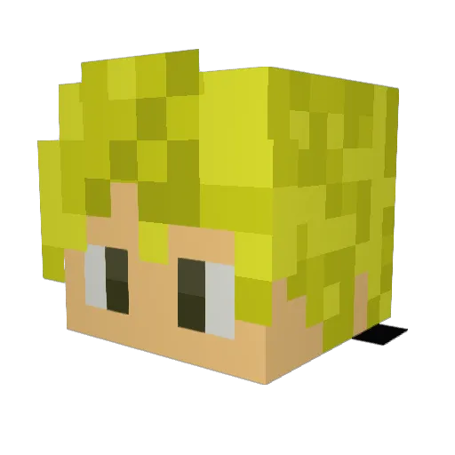 Tolitaria Minecraft avatar head, 3D render