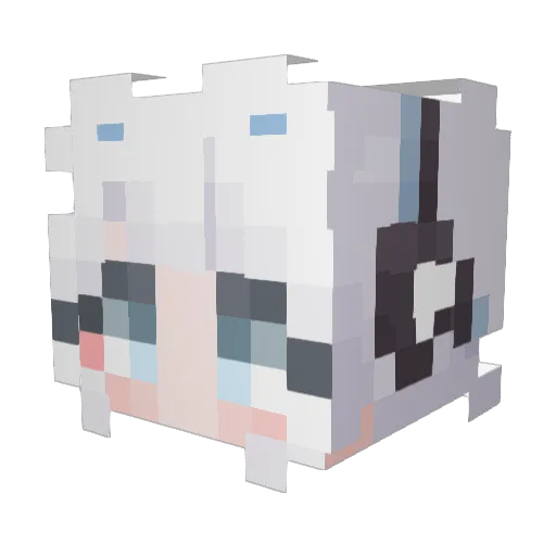 Tolkin03 Minecraft avatar head, 3D render