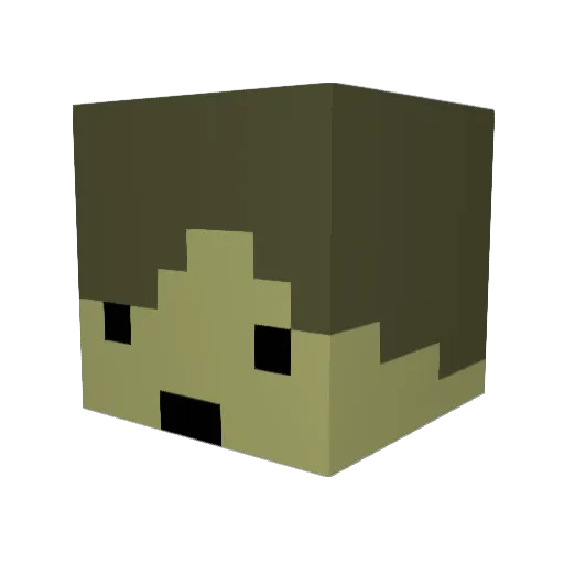 TollerTyp09 Minecraft avatar head, 3D render