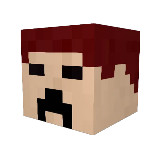 Tolliber Minecraft avatar head, 3D render