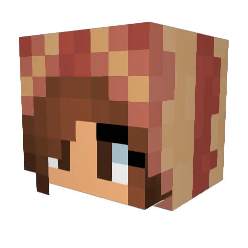 Tollie2002 Minecraft avatar head, 3D render