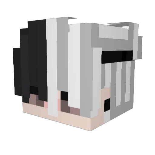 Tollwut27 Minecraft avatar head, 3D render