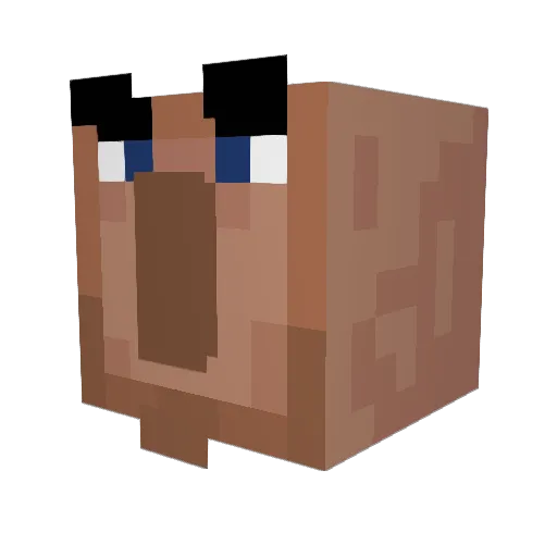 Tolmaciov Minecraft avatar head, 3D render