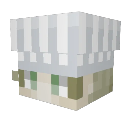 Tolo_xD Minecraft avatar head, 3D render